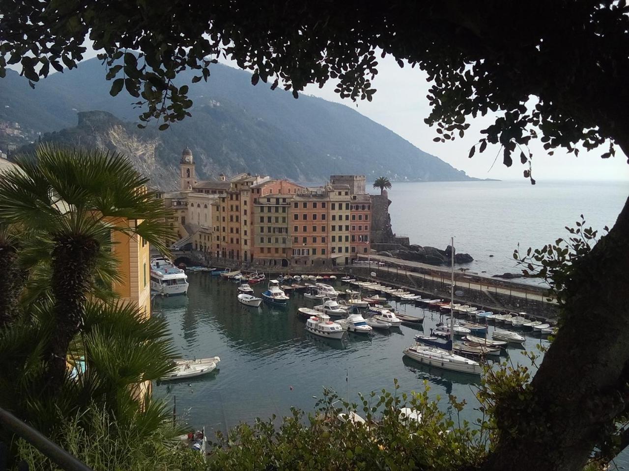 Casa Teresina A Camogli Apartamento Exterior foto